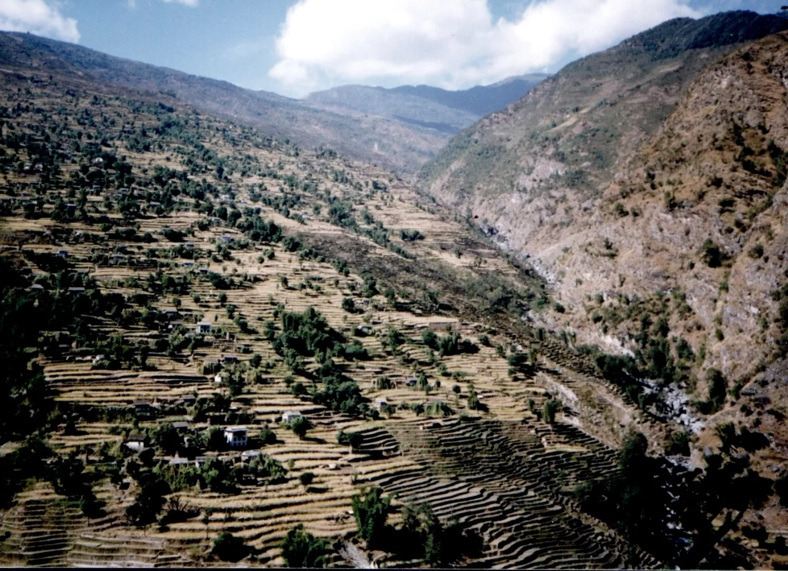 Terraced farm fields cut into a steep Nepali hillside