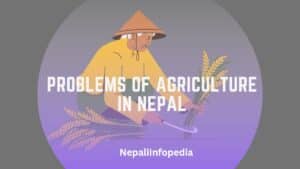 problems on agriculture in Nepal