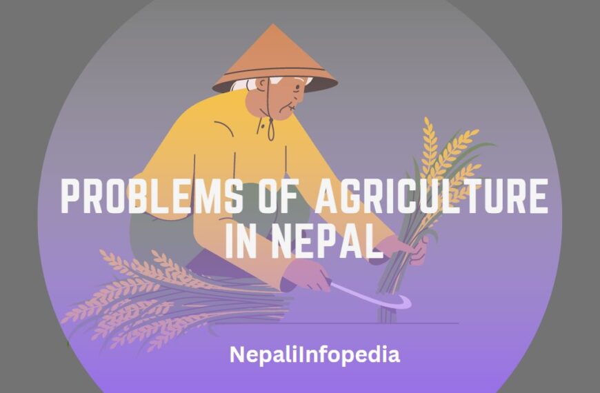 problems on agriculture in Nepal