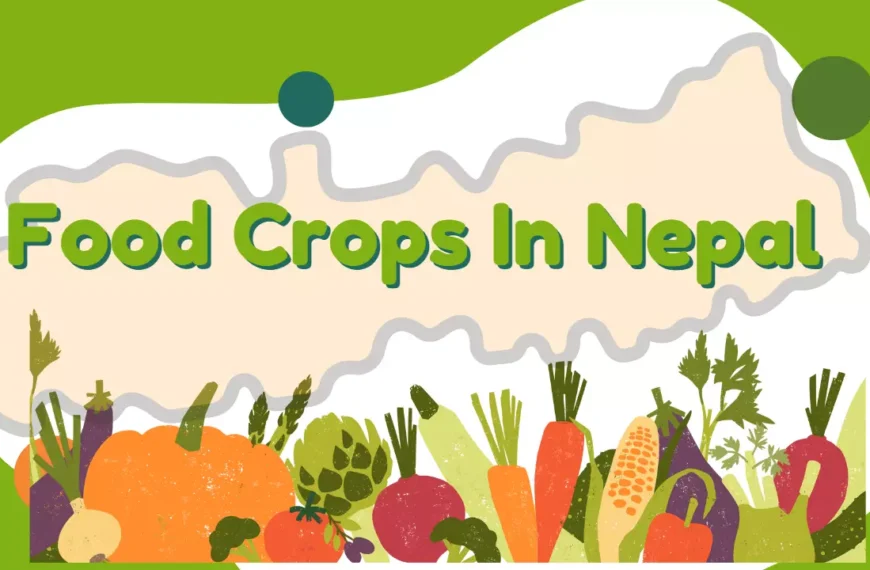 List of Food Crops In Nepal