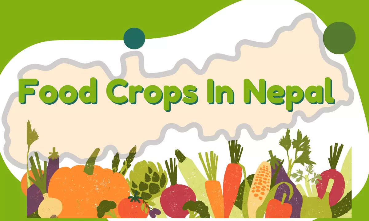 List of Food Crops In Nepal